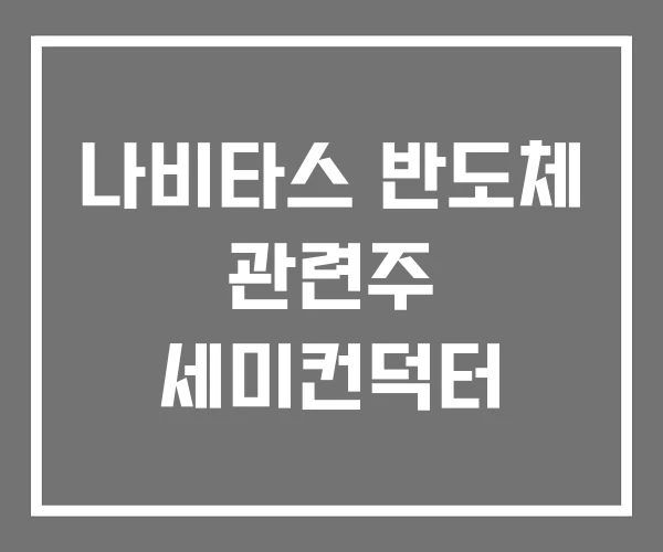 나비타스 반도체 관련주 세미컨덕터