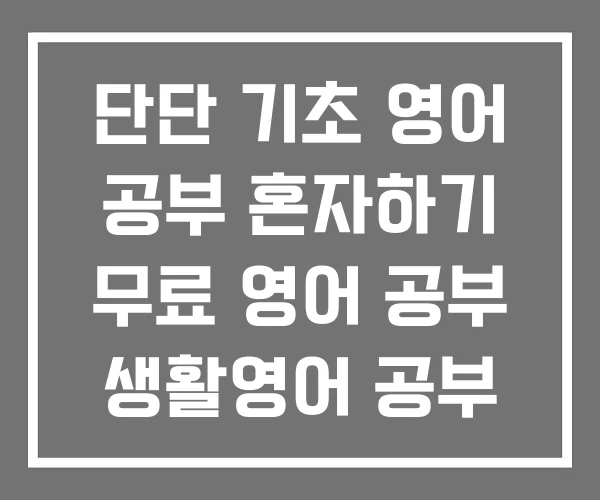 단단 기초 영어 공부 혼자하기 무료 영어 공부 생활영어 공부