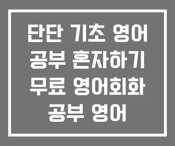 단단 기초 영어 공부 혼자하기 무료 영어회화 공부 영어