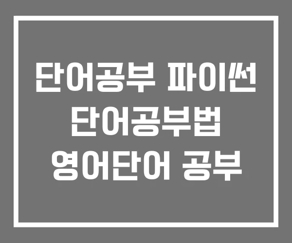 단어공부 파이썬 단어공부법 영어단어 공부