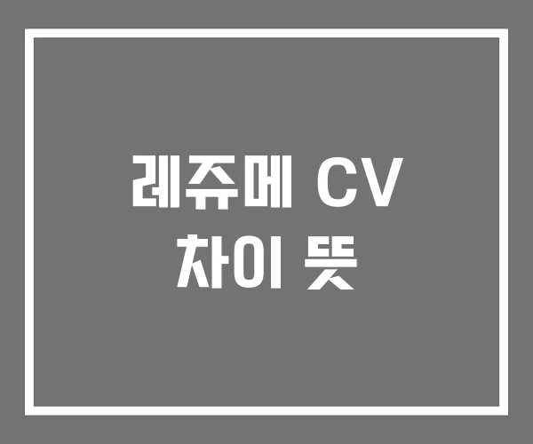 레쥬메 CV 차이 뜻