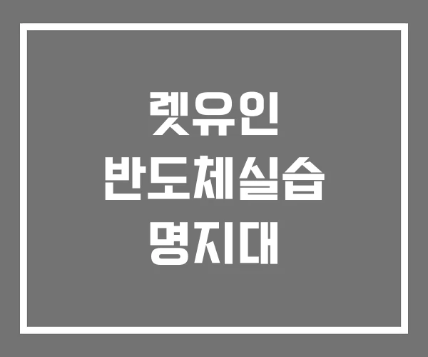 렛유인 반도체실습 명지대