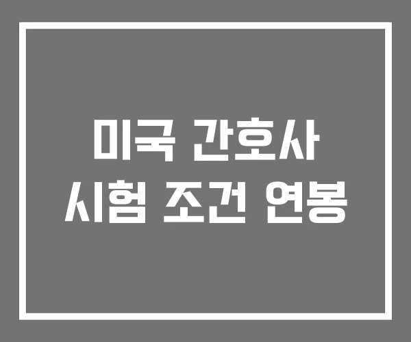 미국 간호사 시험 조건 연봉 미국 간호사 시험 조건 연봉