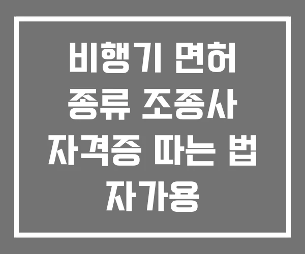 비행기 면허 종류 조종사 자격증 따는 법 자가용