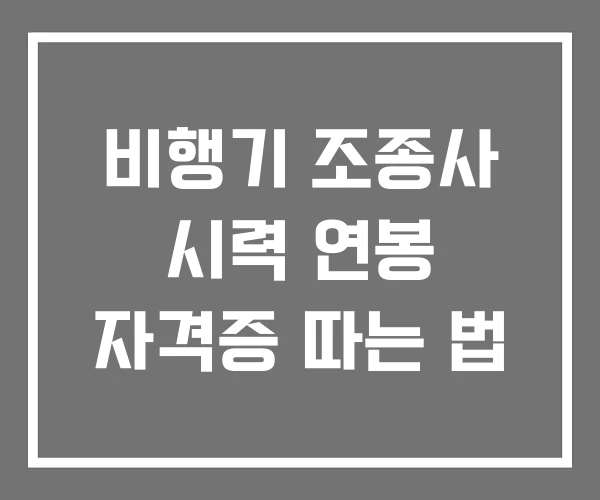비행기 조종사 시력 연봉 자격증 따는 법
