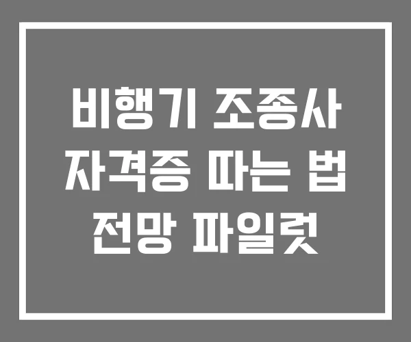 비행기 조종사 자격증 따는 법 전망 파일럿