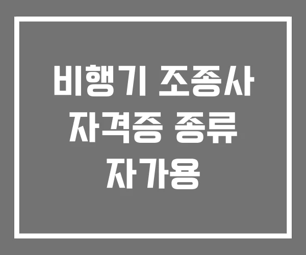 비행기 조종사 자격증 종류 자가용
