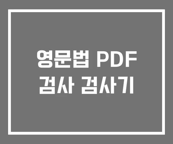 영문법 PDF 검사 검사기